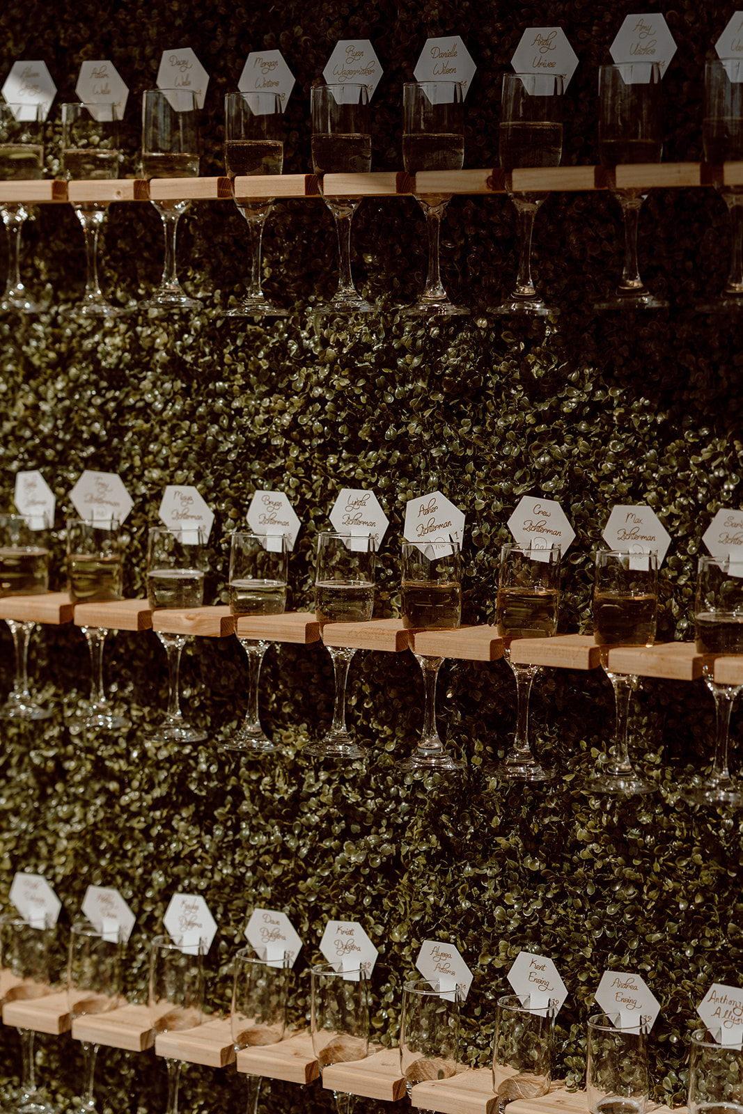 Grand Rapids Wedding Photographer.