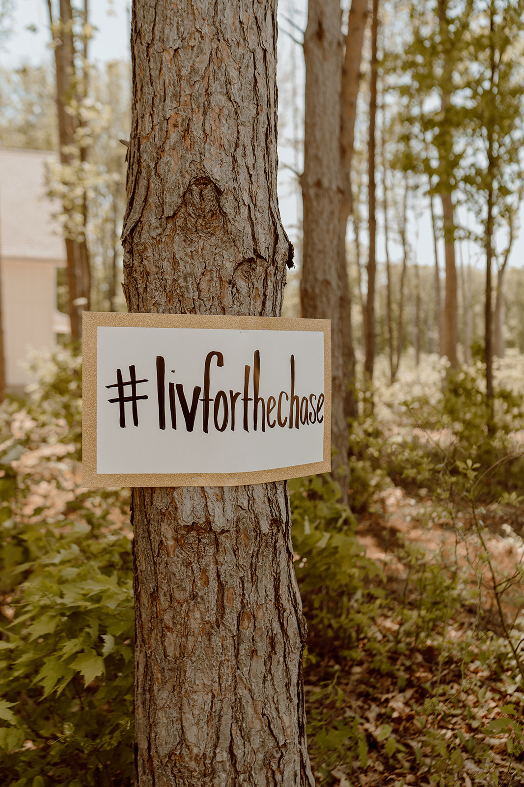 Grand Rapids Wedding Photographer.