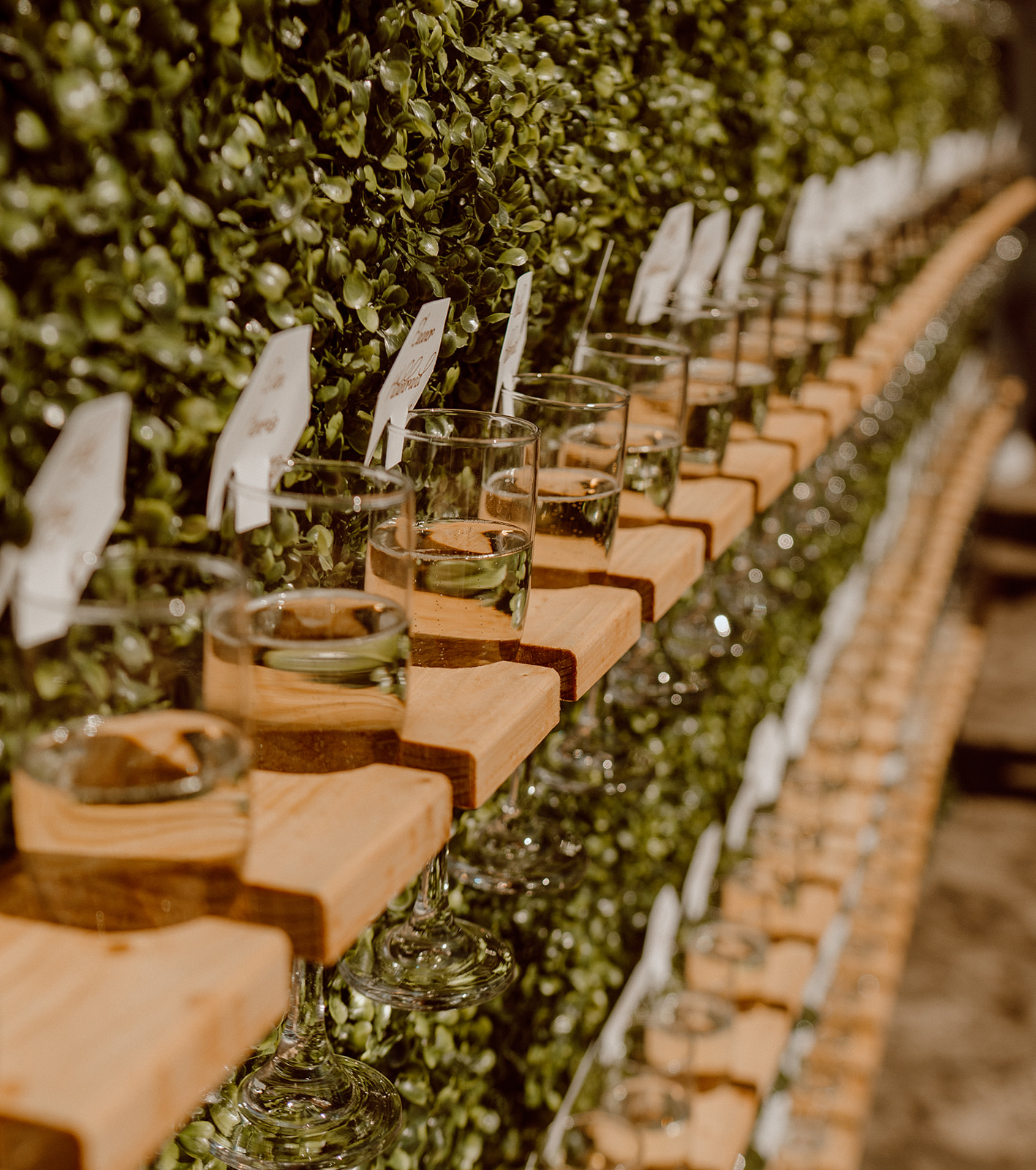 Grand Rapids Wedding Photographer.